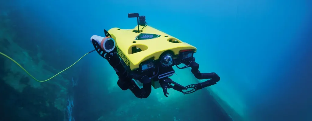 Maritime Drones