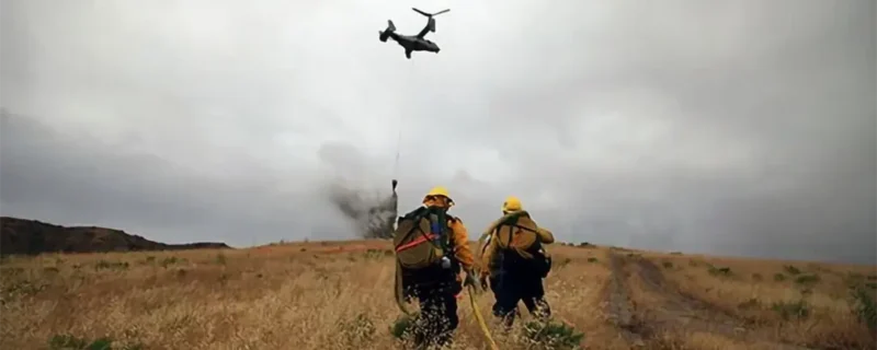 Wildland Firefighter